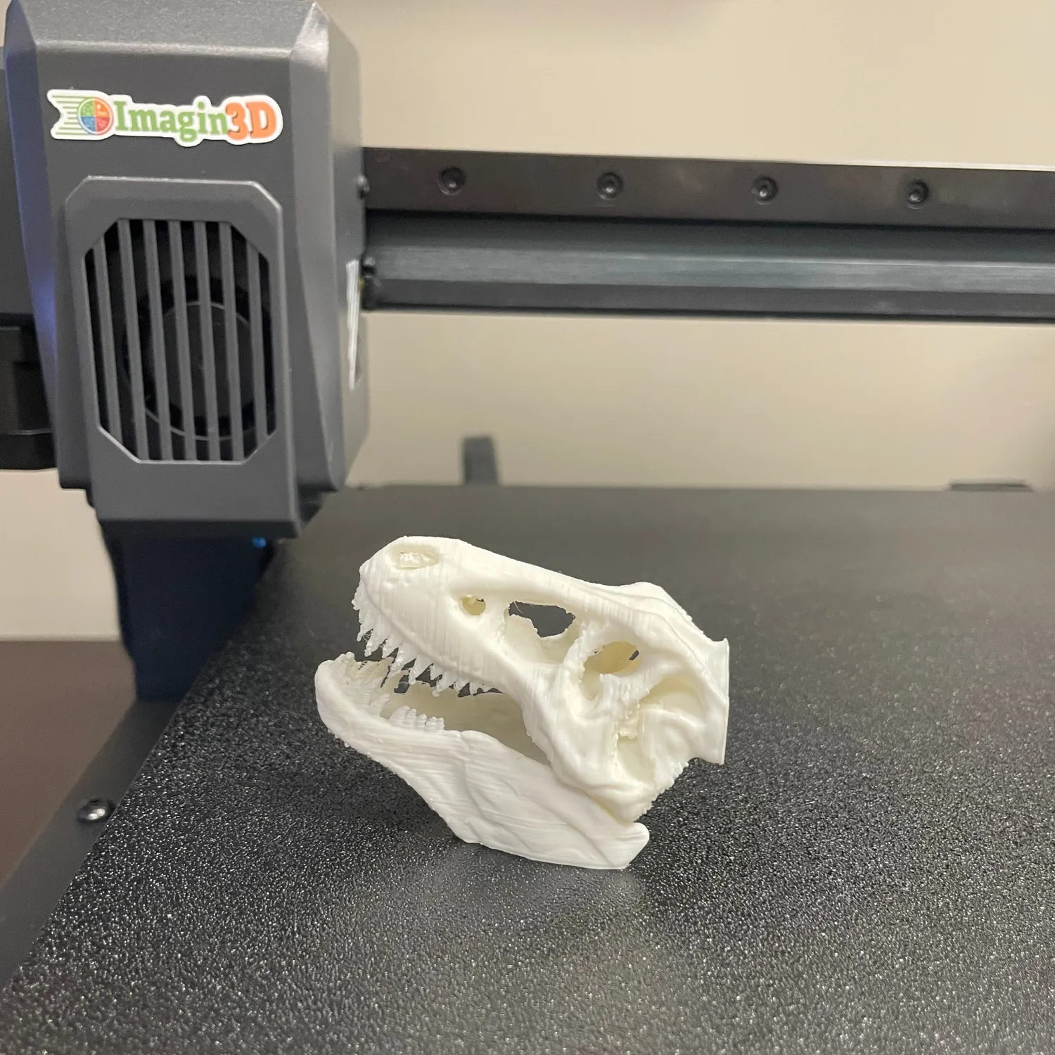3D Printed Dinosaur Skull for STEM classrooms