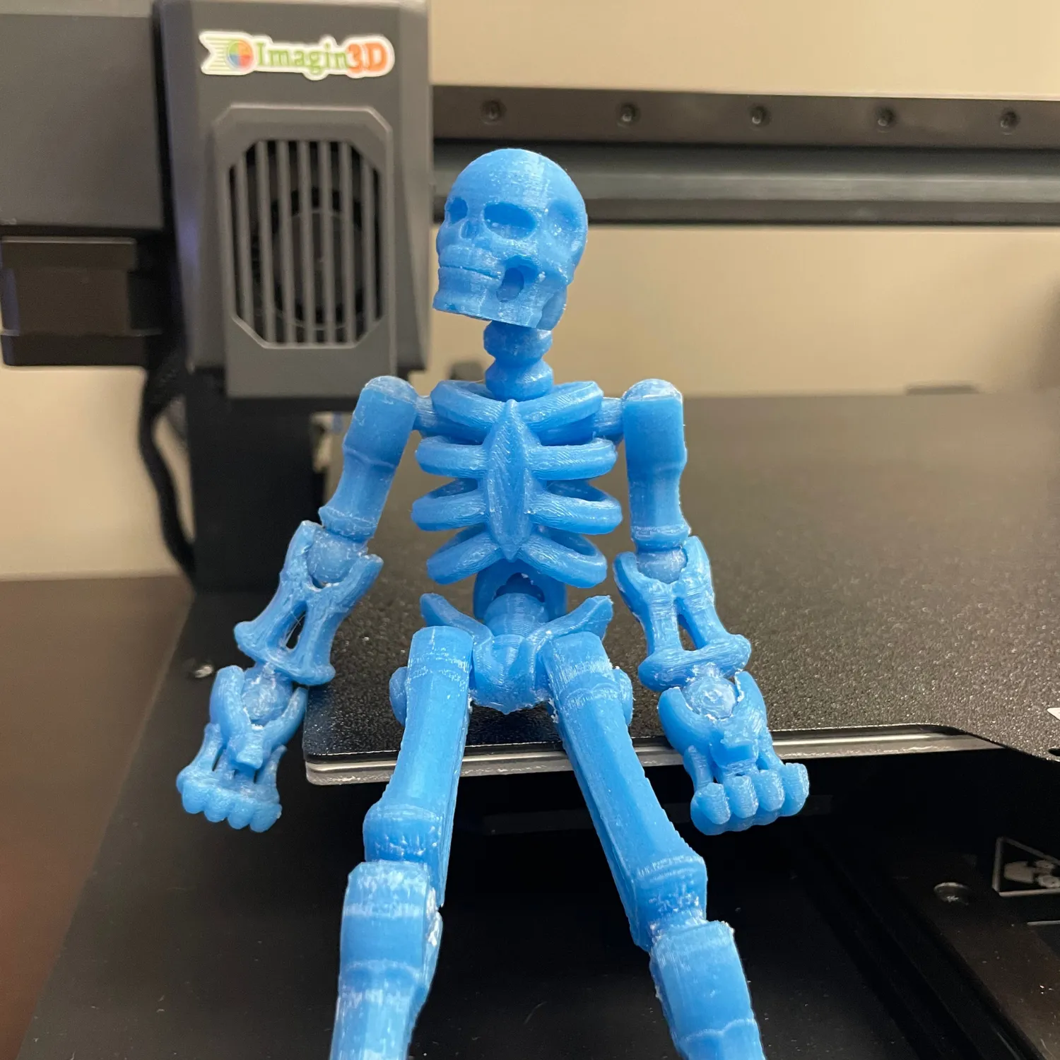 3D printed skeleton for STEM classrooms